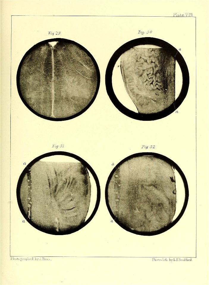 n116_w1150