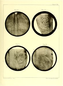 n116_w1150