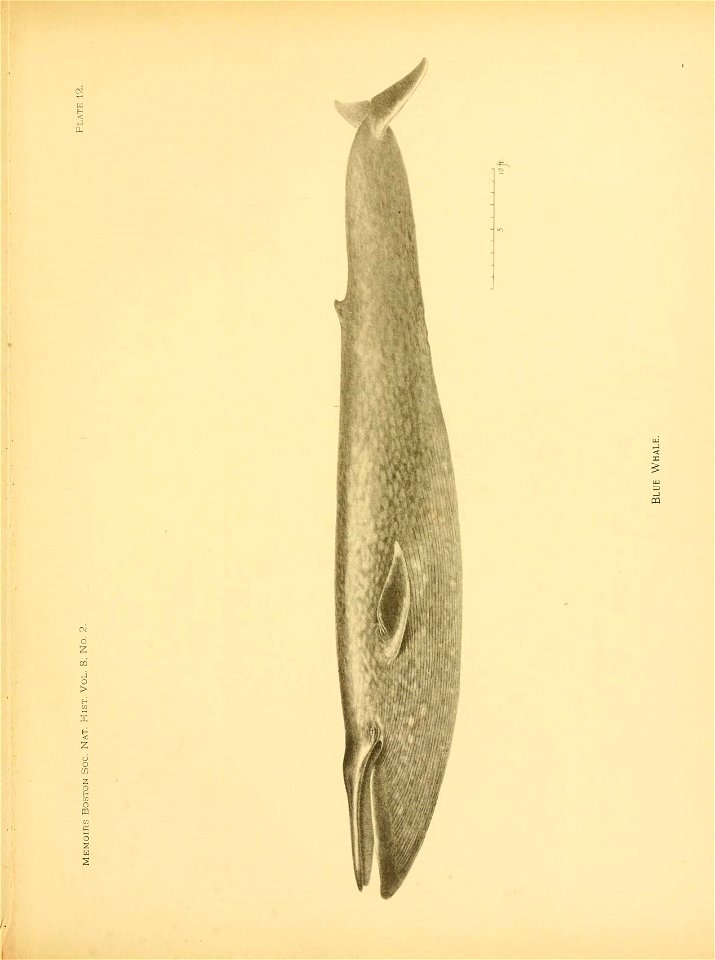 n166_w1150