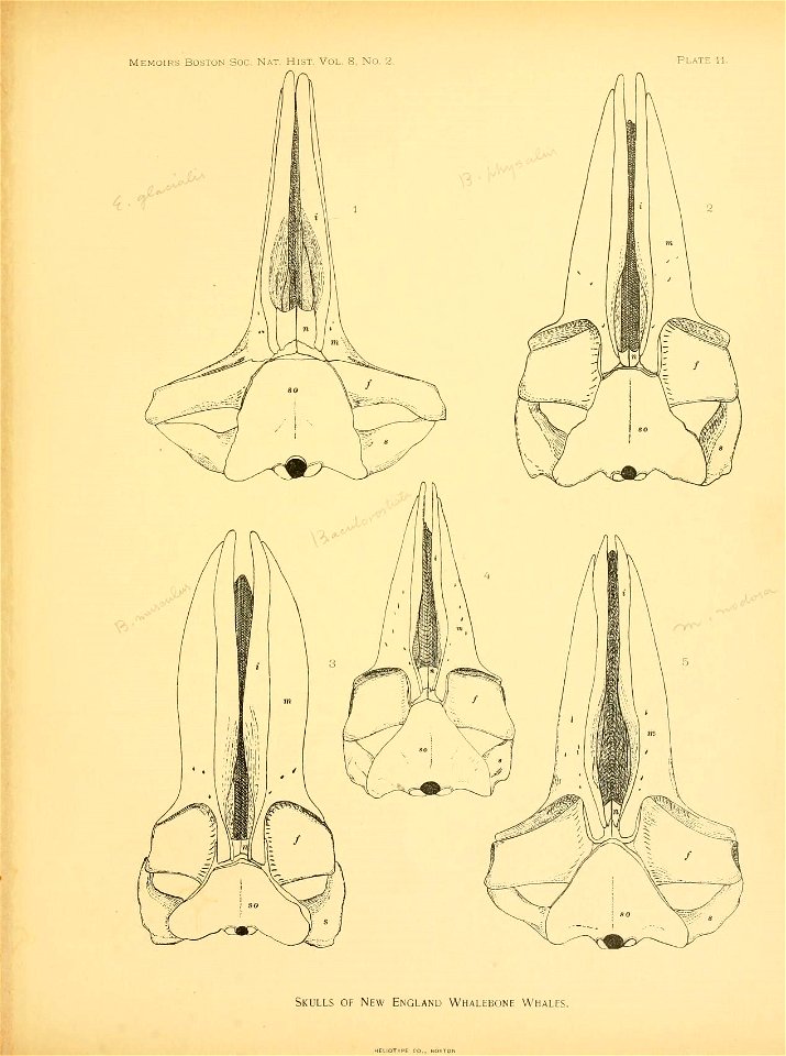 n106_w1150