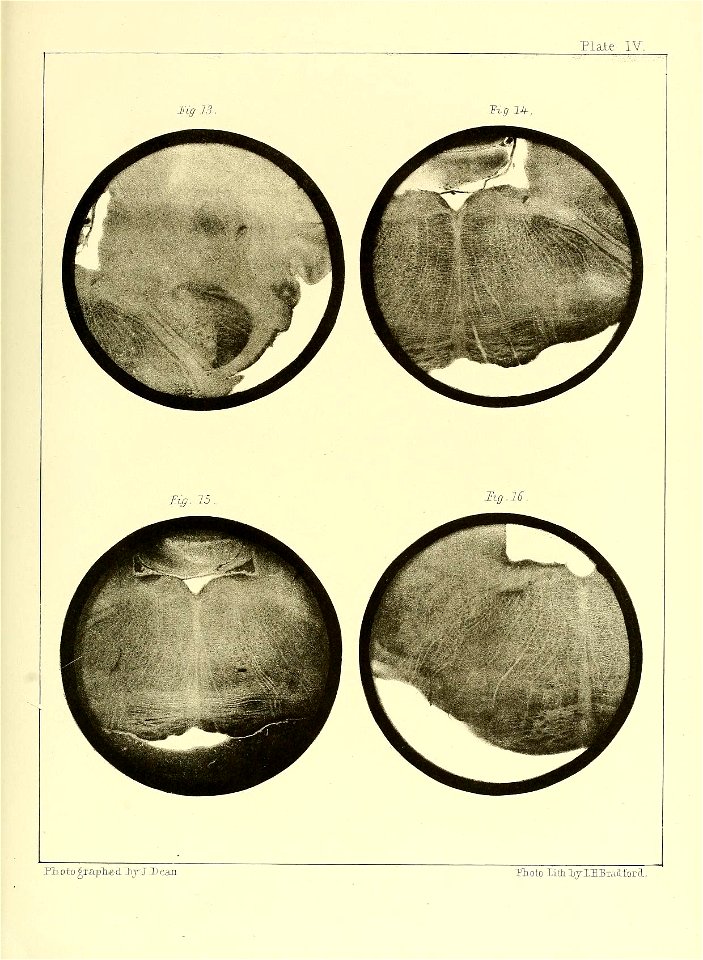 n108_w1150