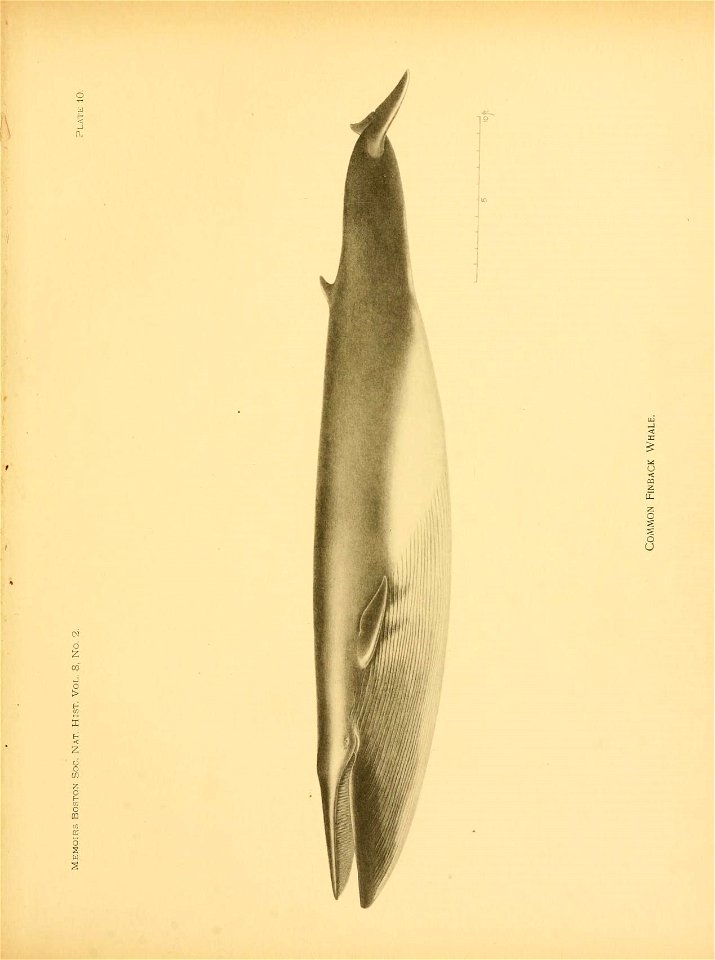 n92_w1150