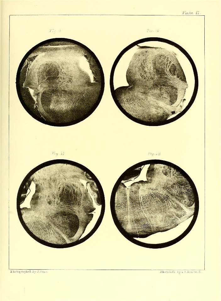 n106_w1150