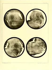 n106_w1150