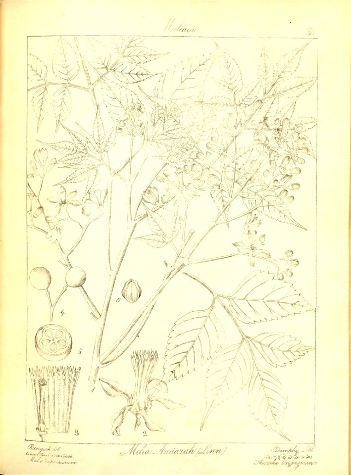 n192_w1150