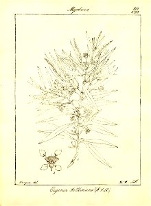 n131_w1150