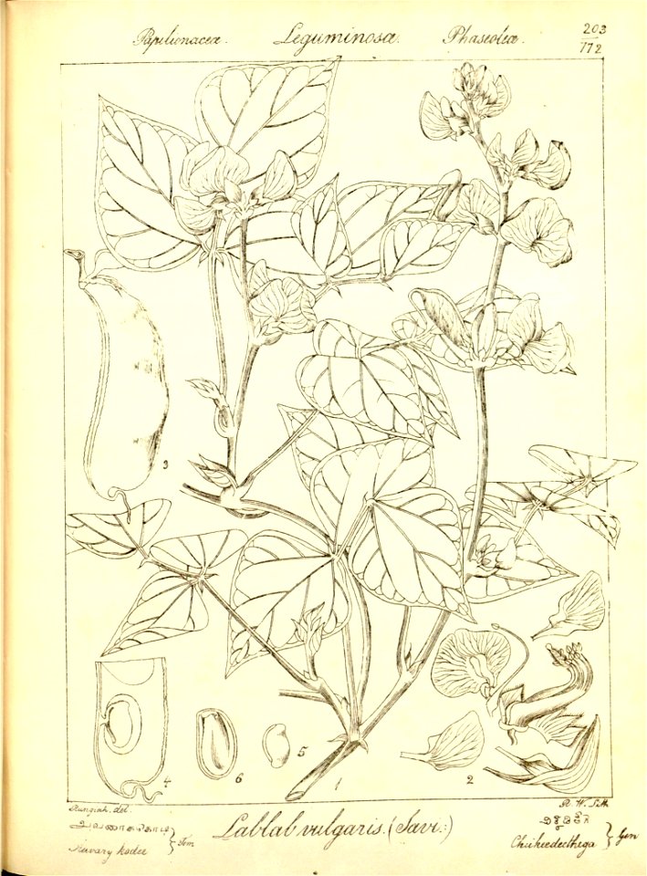 n235_w1150