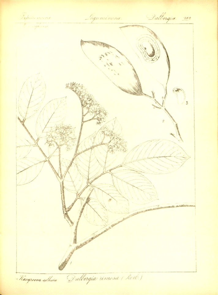 n294_w1150