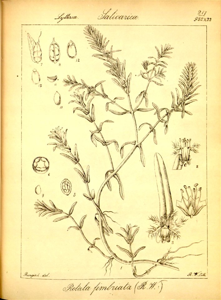 n249_w1150