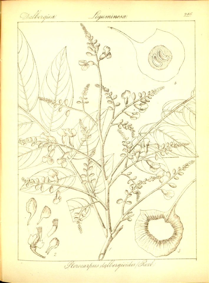 n278_w1150