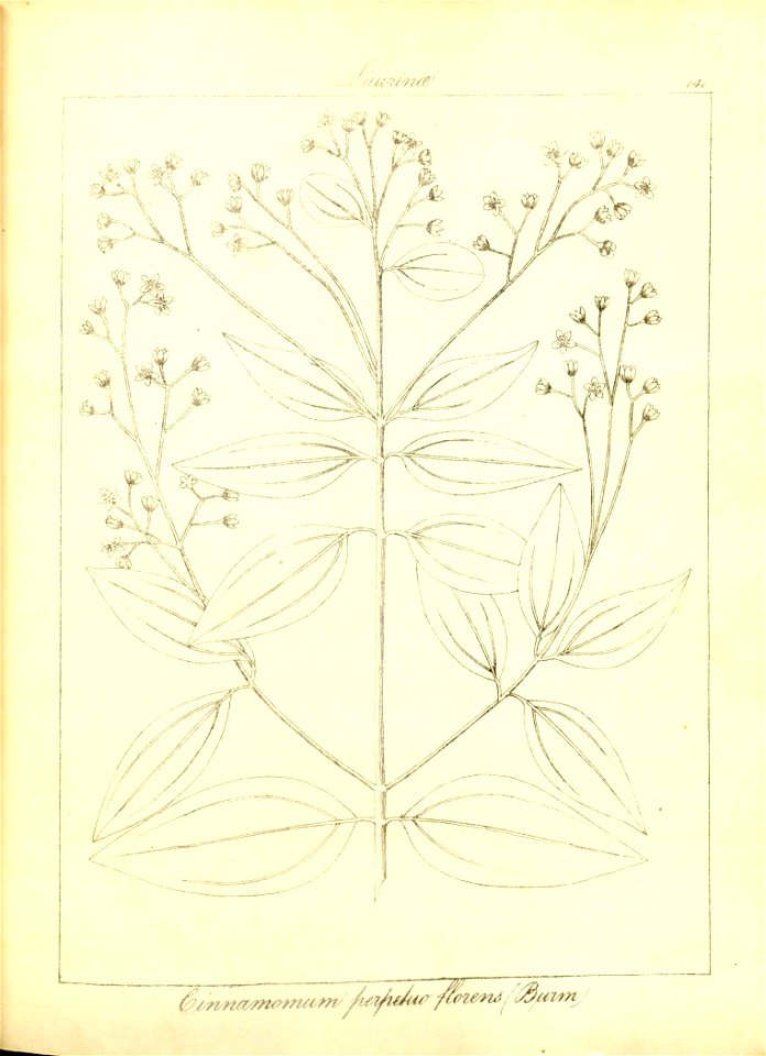 n173_w1150