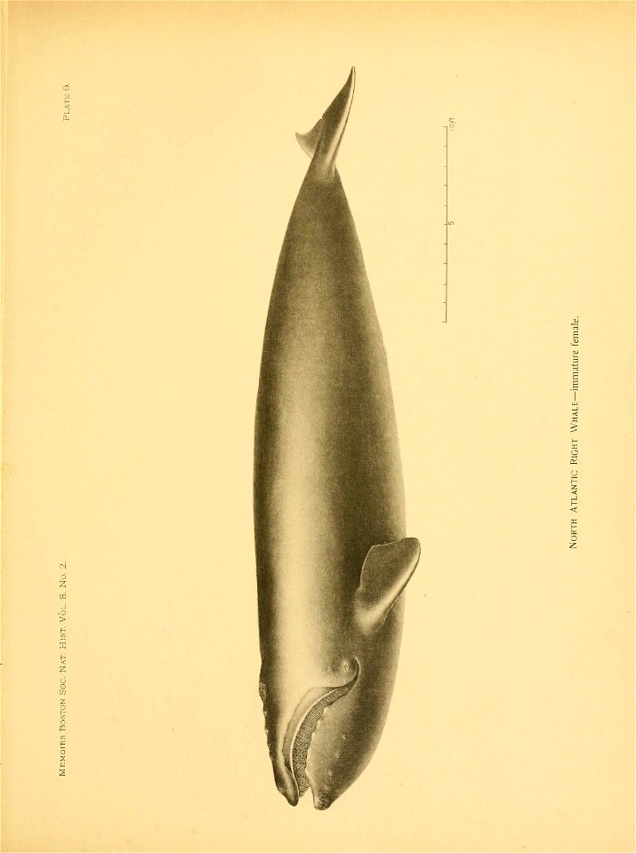 n28_w1150