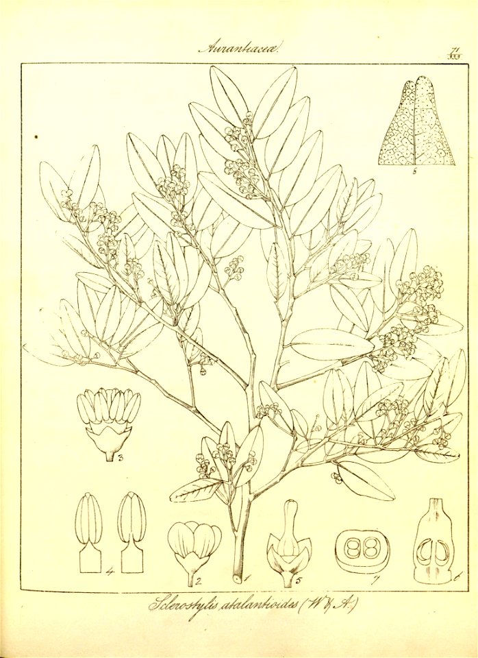 n102_w1150