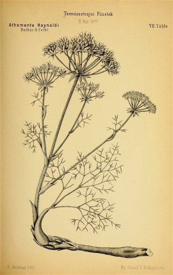 n156_w1150