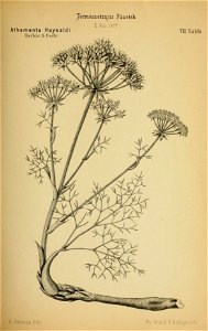 n156_w1150