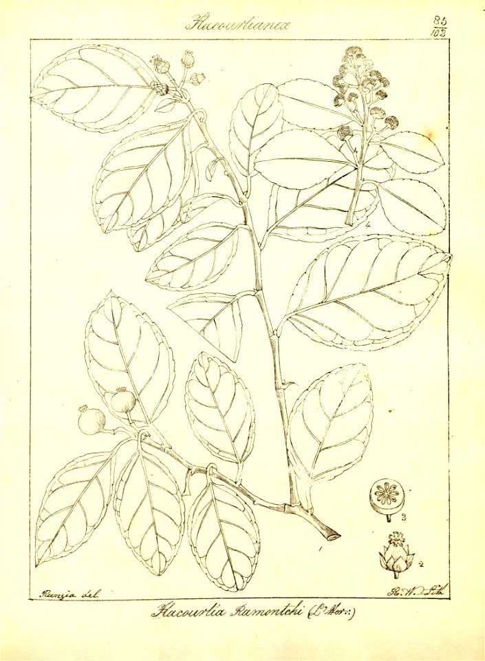 n116_w1150