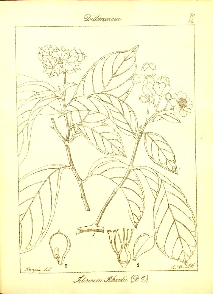 n101_w1150