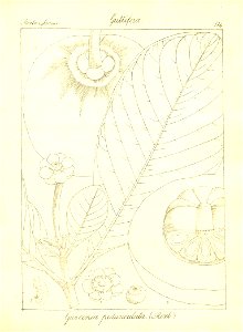 n145_w1150