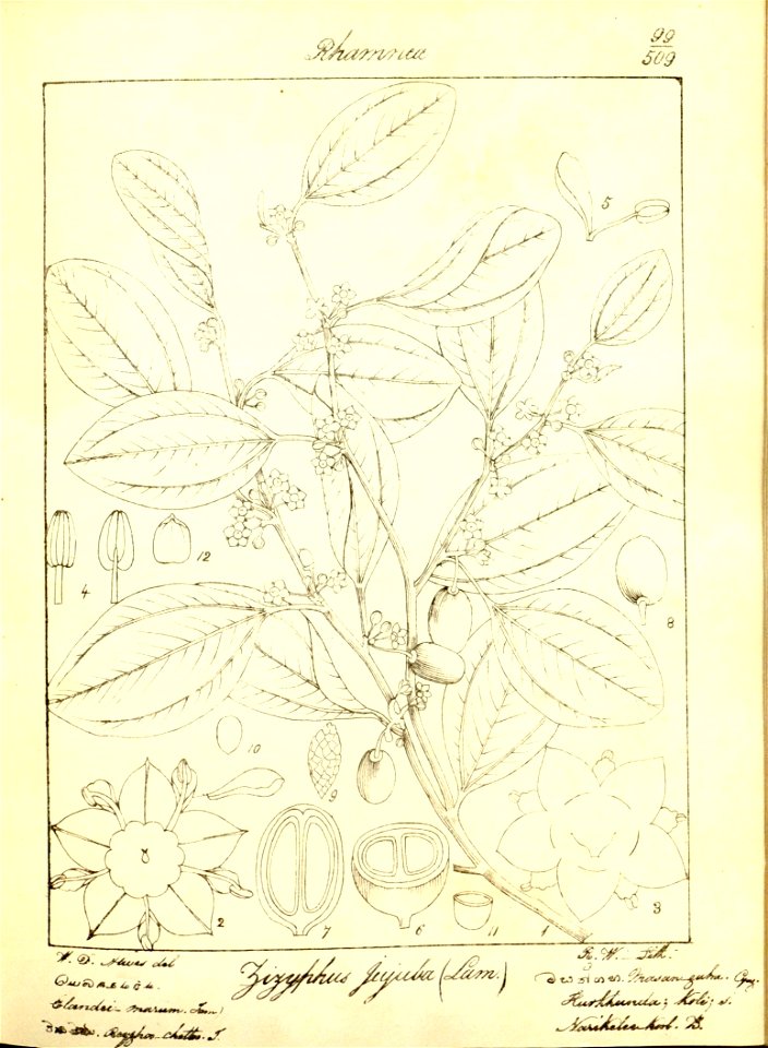 n130_w1150