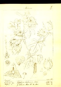 n40_w1150