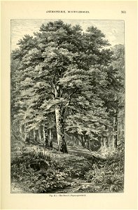 n814_w1150