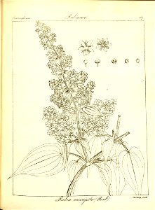 n219_w1150