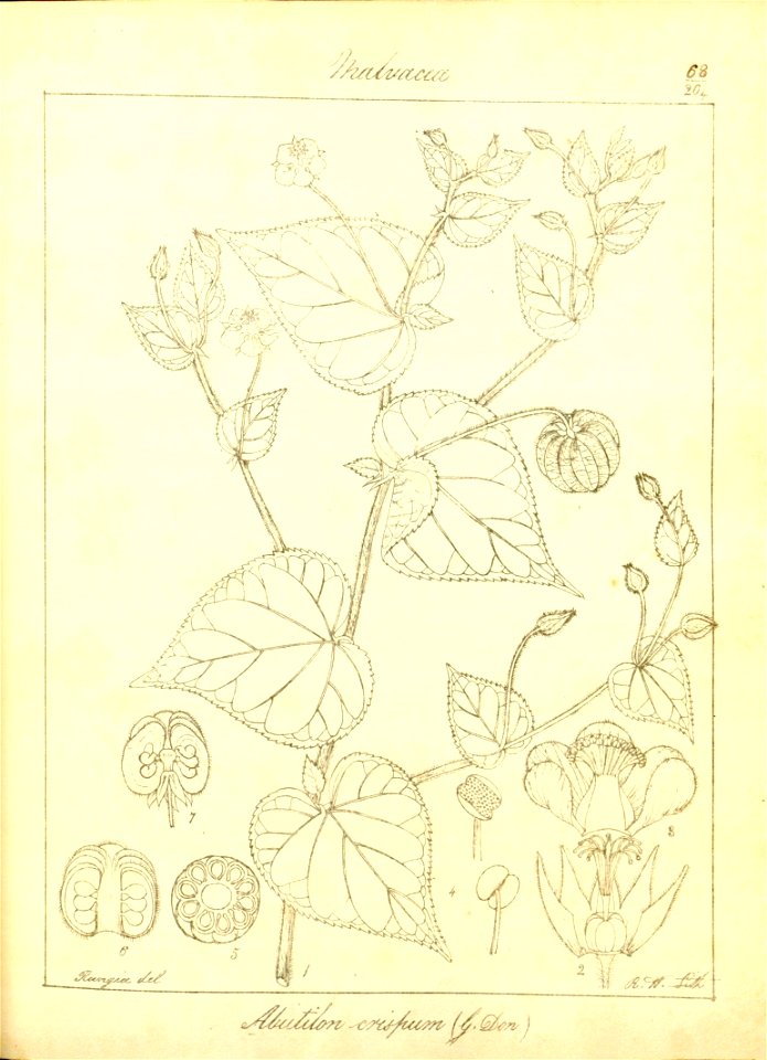 n99_w1150