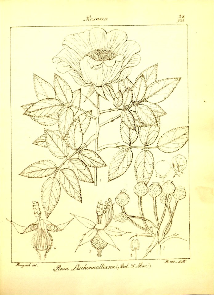 n69_w1150