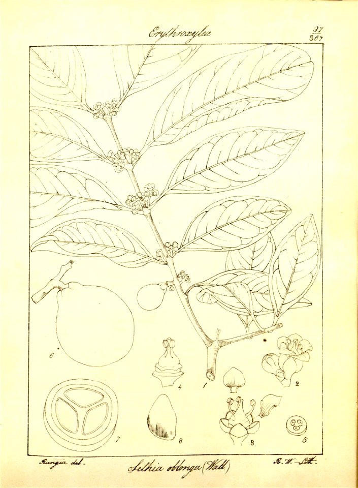 n128_w1150