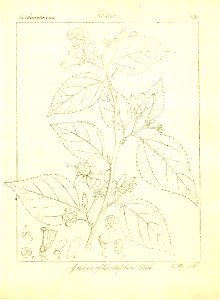 n113_w1150