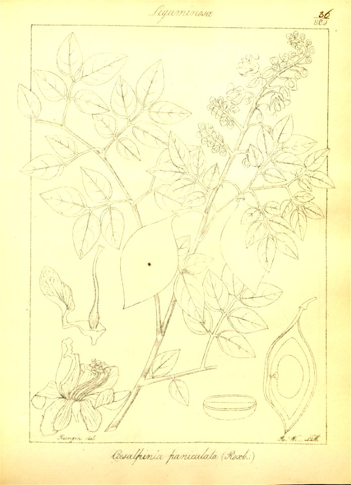 n68_w1150