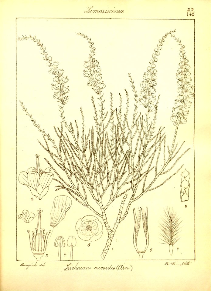 n53_w1150