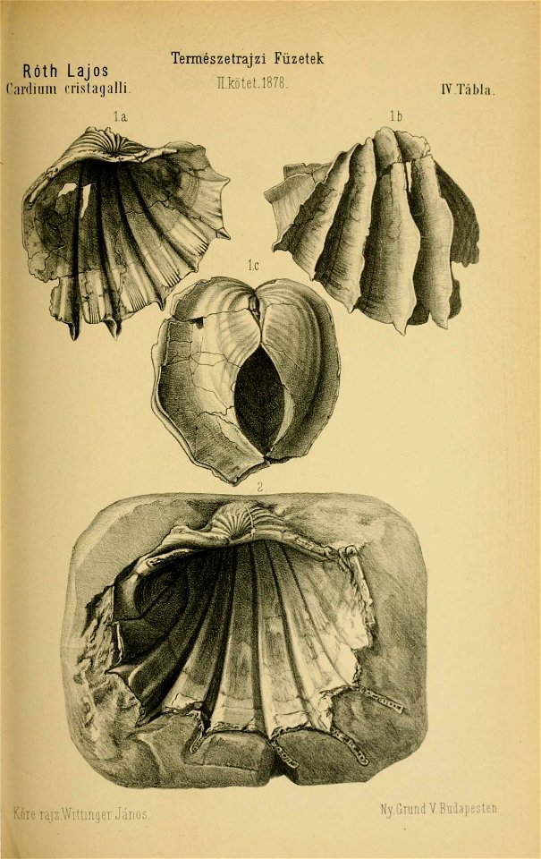 n398_w1150