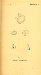 n152_w1150