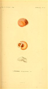 n212_w1150