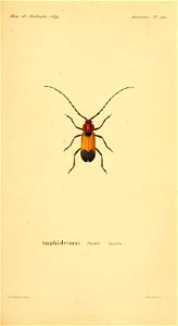 n382_w1150