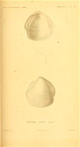 n264_w1150