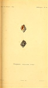 n134_w1150