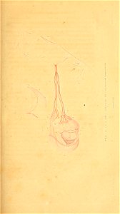 n46_w1150