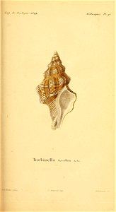 n208_w1150