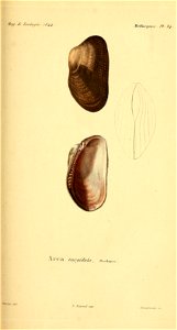 n122_w1150