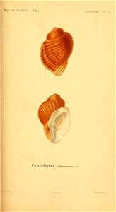 n290_w1150