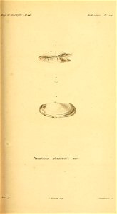 n256_w1150