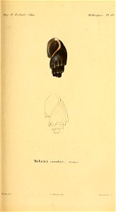 n118_w1150