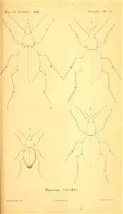 n408_w1150