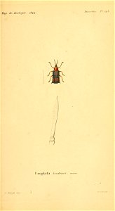 n366_w1150