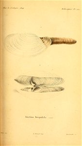 n252_w1150
