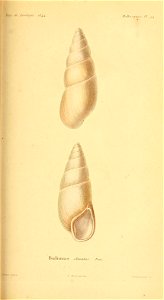 n174_w1150