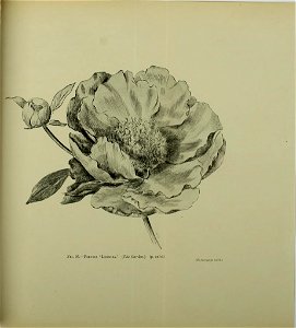 n794_w1150