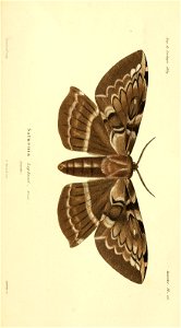 n474_w1150